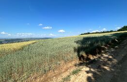 Teren extravilan , 7000 mp ,dedicat special pentru investitie!