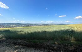 Teren extravilan , 7000 mp ,dedicat special pentru investitie!