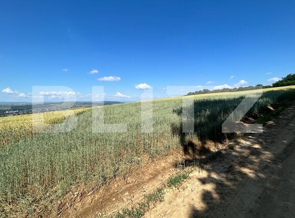 Teren de vânzare Burdujeni - 119899TV | BLITZ Suceava | Poza2