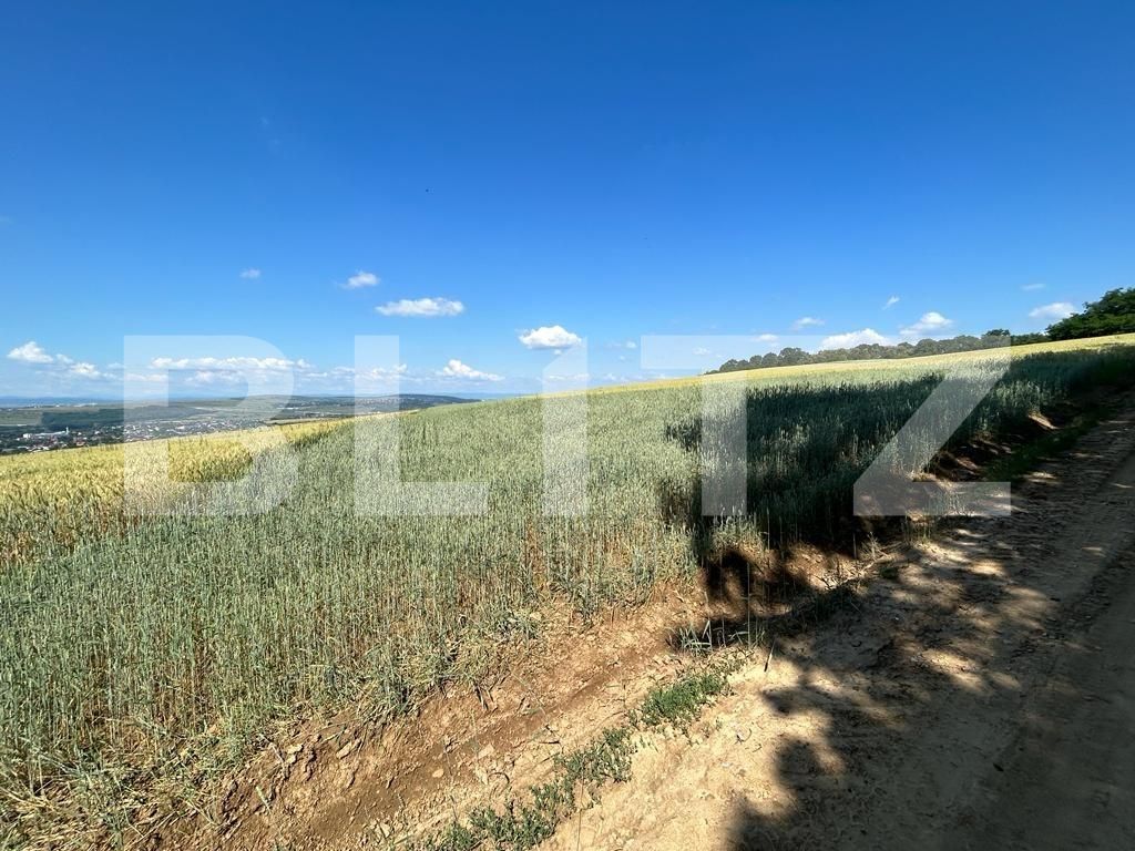 Teren de vânzare Burdujeni - 119899TV | BLITZ Suceava | Poza2