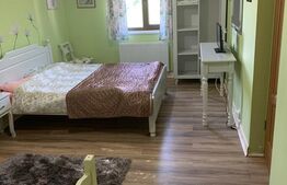 Pensiune 5 camere, 148 mp utili, 978 mp teren, Cacica