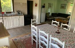 Pensiune 5 camere, 148 mp utili, 978 mp teren, Cacica