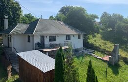 Pensiune 5 camere, 148 mp utili, 978 mp teren, Cacica