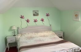 Pensiune 5 camere, 148 mp utili, 978 mp teren, Cacica