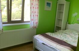 Pensiune 5 camere, 148 mp utili, 978 mp teren, Cacica