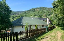 Pensiune 5 camere, 148 mp utili, 978 mp teren, Cacica