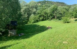 Pensiune 6 camere, 188 mp utili, 2145 mp teren, Cacica