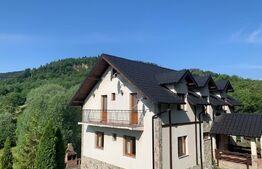 Pensiune 6 camere, 188 mp utili, 2145 mp teren, Cacica