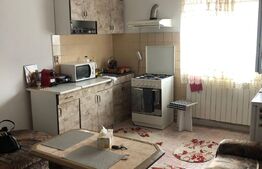 Microapartament 2 camere, 43 mp, etaj intermediar, Burdujeni