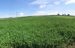 Oportunitate! Teren intravilan, 2500mp, zona Bosanci