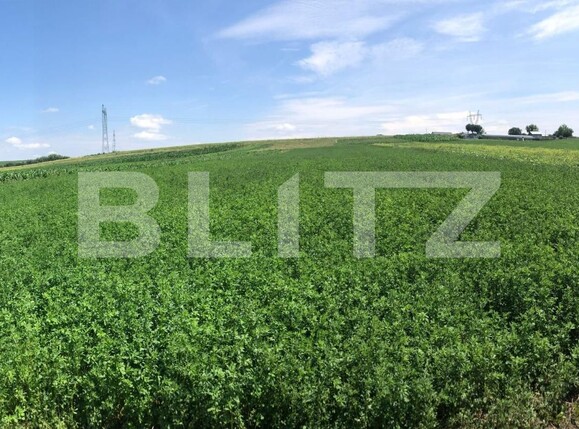 Teren de vânzare Exterior Sud - 120248TV | BLITZ Suceava | Poza1