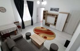Apartament 2 camere, renovat, 48 mp, zona Centrala