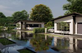 Case individuale parter, zona Tisauti