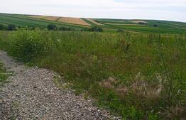 Teren intravilan de 1000 mp in Sf Ilie Nou cu urbanism