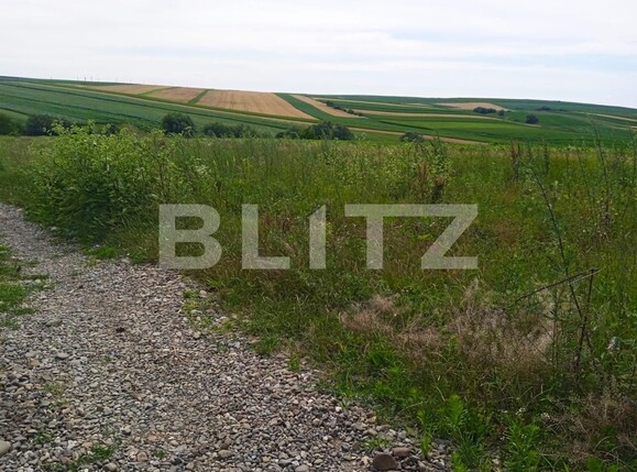 Teren de vânzare Sfantu Ilie - 120489TV | BLITZ Suceava | Poza2