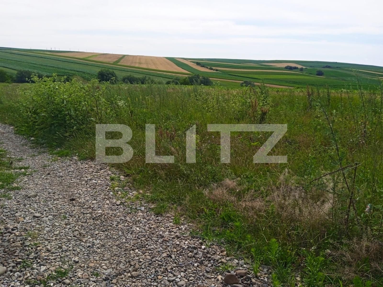 Teren de vânzare Sfantu Ilie - 120489TV | BLITZ Suceava | Poza2