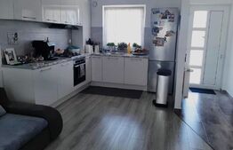 Duplex 3 camere, 100mp, 166mp teren, Ipotesti