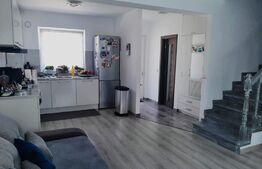 Duplex 3 camere, 100mp, 166mp teren, Ipotesti