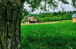 Cabana 8 camere, 218mp, teren 4500mp, Molid Vama