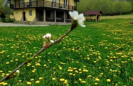 Cabana 8 camere, 218mp, teren 4500mp, Molid Vama