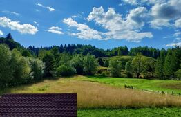 Cabana 8 camere, 218mp, teren 4500mp, Molid Vama