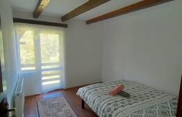 Cabana 8 camere, 218mp, teren 4500mp, Molid Vama