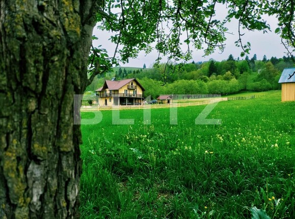 Casa de vânzare 8 camere Exterior Est - 120510CV | BLITZ Suceava | Poza2