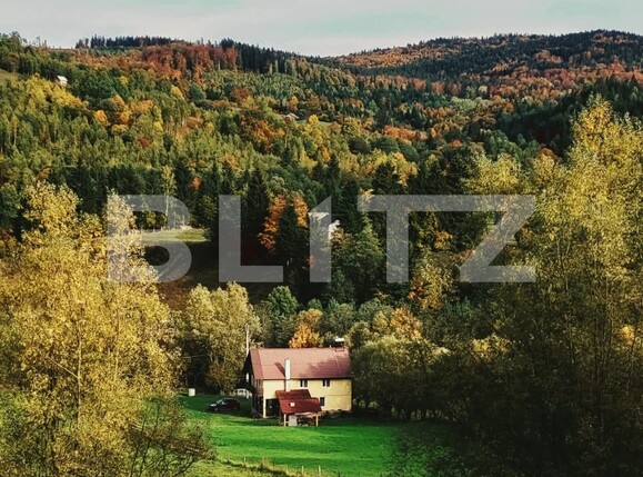 Casa de vânzare 8 camere Exterior Est - 120510CV | BLITZ Suceava | Poza3