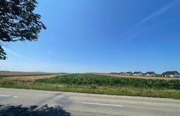  Teren Intravilan, 10300 mp, zona Mitocului