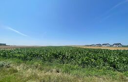  Teren Intravilan, 10300 mp, zona Mitocului