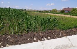 Teren intravilan de 3000 mp si front de 14 ml in Bulai