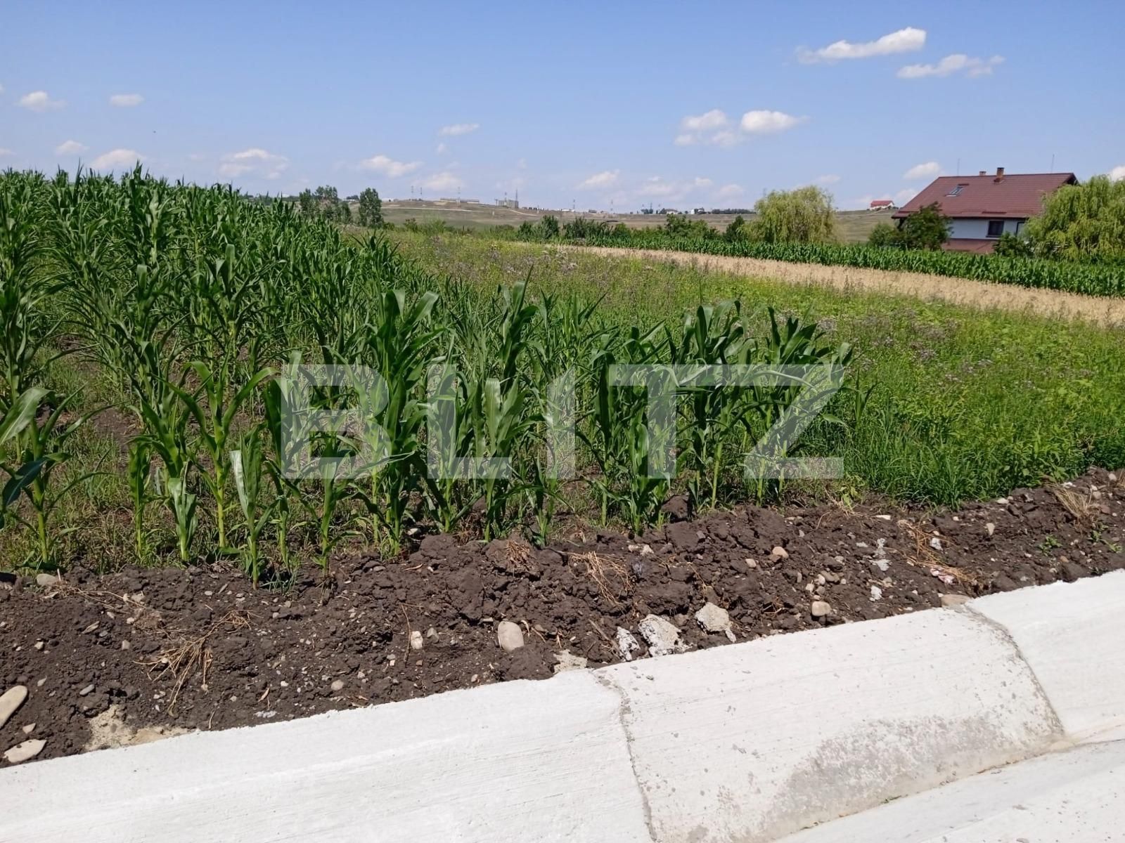 Teren de vânzare Exterior Sud - 120963TV | BLITZ Suceava | Poza2