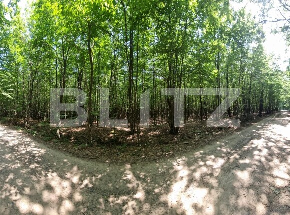 Teren de vânzare Nord - 121435TV | BLITZ Suceava | Poza3