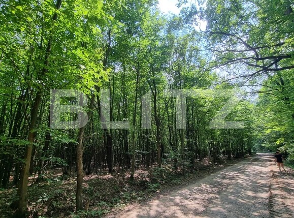 Teren de vânzare Nord - 121435TV | BLITZ Suceava | Poza1