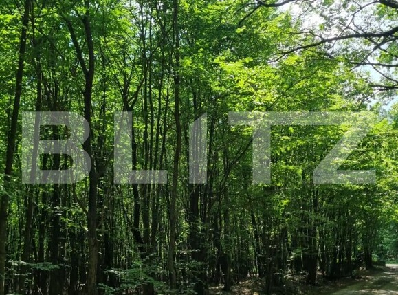 Teren de vânzare Nord - 121435TV | BLITZ Suceava | Poza2