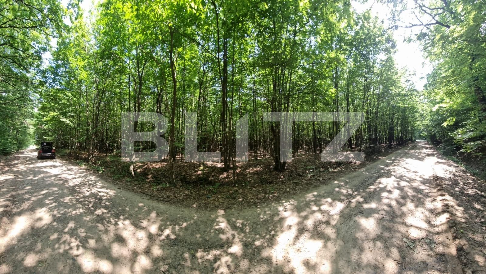 Teren de vânzare Nord - 121435TV | BLITZ Suceava | Poza3