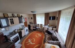 Casa  de 120 mp si 1ha teren in Doroteia, Suceava