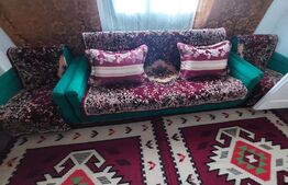 Casa  de 120 mp si 1ha teren in Doroteia, Suceava