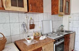 Apartament 2 camere, 55 mp, mobilat, cartier George Enescu