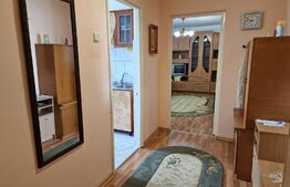 Apartament 2 camere, 55 mp, mobilat, cartier George Enescu