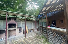 Casa de vacanta, 250mp casa, cartier Mitocu Dragomirnei