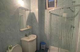 Casa de vacanta, 250mp casa, cartier Mitocu Dragomirnei