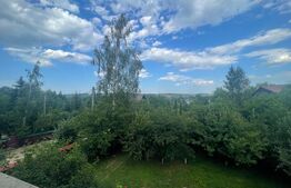 Casa de vacanta, 250mp casa, cartier Mitocu Dragomirnei