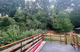 Casa de vacanta, 250mp casa, cartier Mitocu Dragomirnei