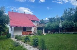 Casa de vacanta, 250mp casa, cartier Mitocu Dragomirnei