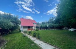 Casa de vacanta, 250mp casa, cartier Mitocu Dragomirnei