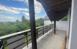 Casa de vacanta, 250mp casa, cartier Mitocu Dragomirnei