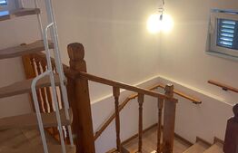 Casa de vacanta, 250mp casa, cartier Mitocu Dragomirnei