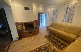 Casa de vacanta, 250mp casa, cartier Mitocu Dragomirnei