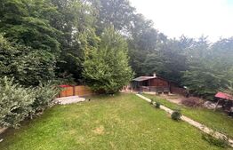 Casa de vacanta, 250mp casa, cartier Mitocu Dragomirnei